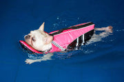 Reflective Dog Life Jacket Vest, Removable Neck Float High Buoyancy Dogs Swimming Clothes, Pet Safety Swimsuit for Dog Cat