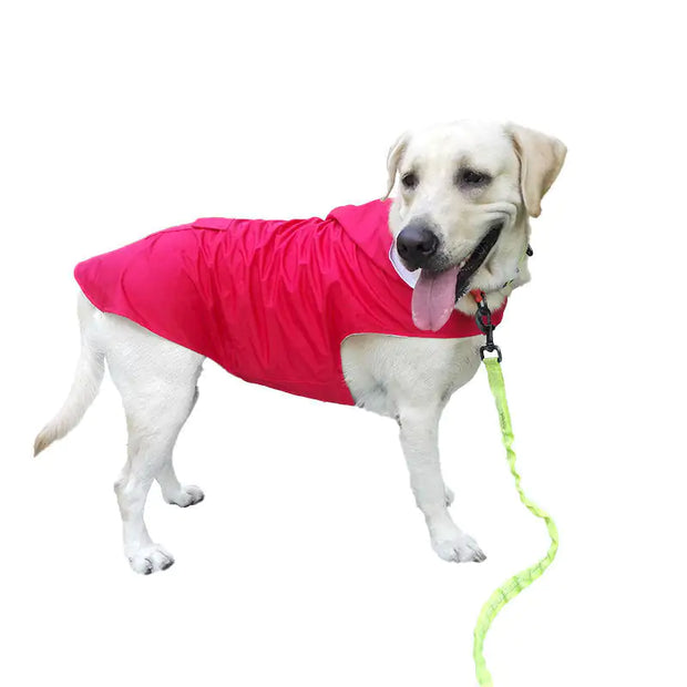 Dog Raincoat