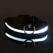 Flashing Glow Dog Collar