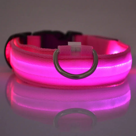 Flashing Glow Dog Collar